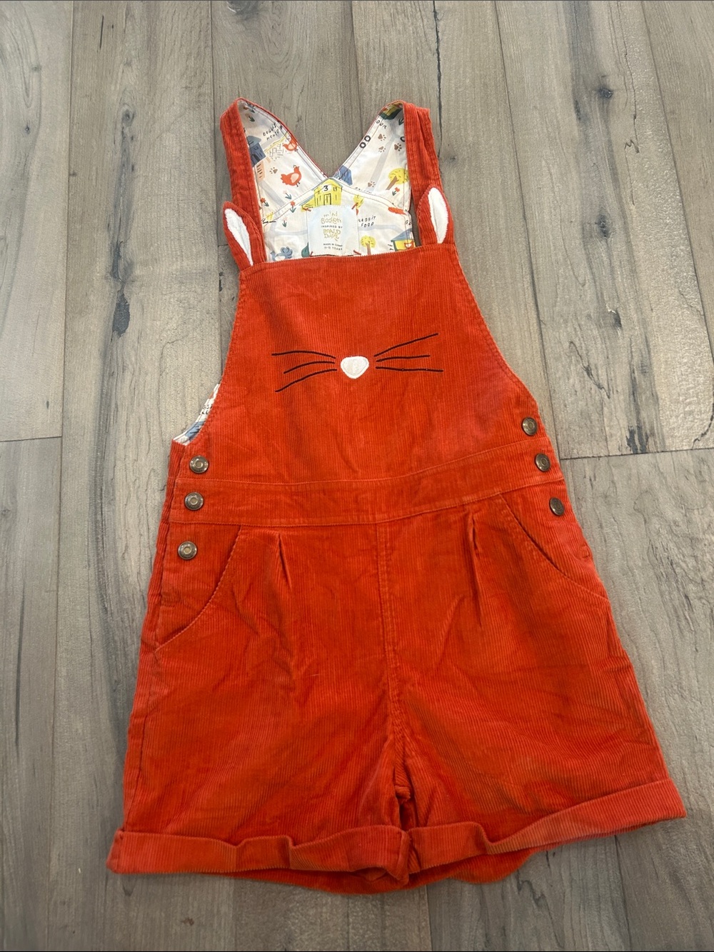 Kids Mini Boden Ronald Dahl overalls